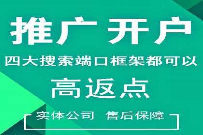 SEM托管服务，成功案例分享转化秘诀